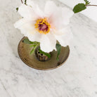 Stoneware Flower Frog | Daniel De Montmollin - elsie green - decor