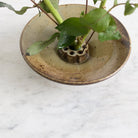 Stoneware Flower Frog | Daniel De Montmollin - elsie green - decor