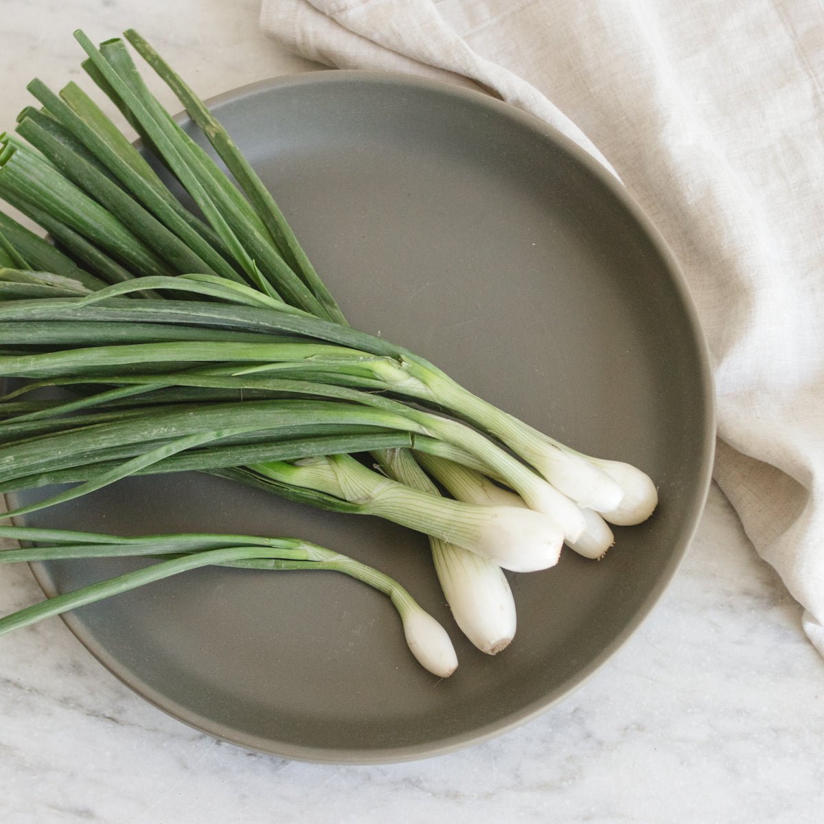 Stoneware Garden Tray - elsie green - The French Kitchen