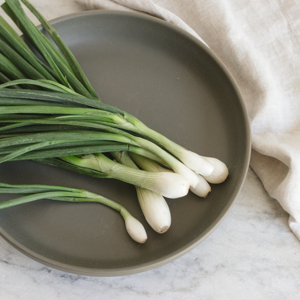Stoneware Garden Tray - elsie green - The French Kitchen