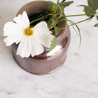 Stoneware Inkwell | Brown - elsie green - the french kitchen