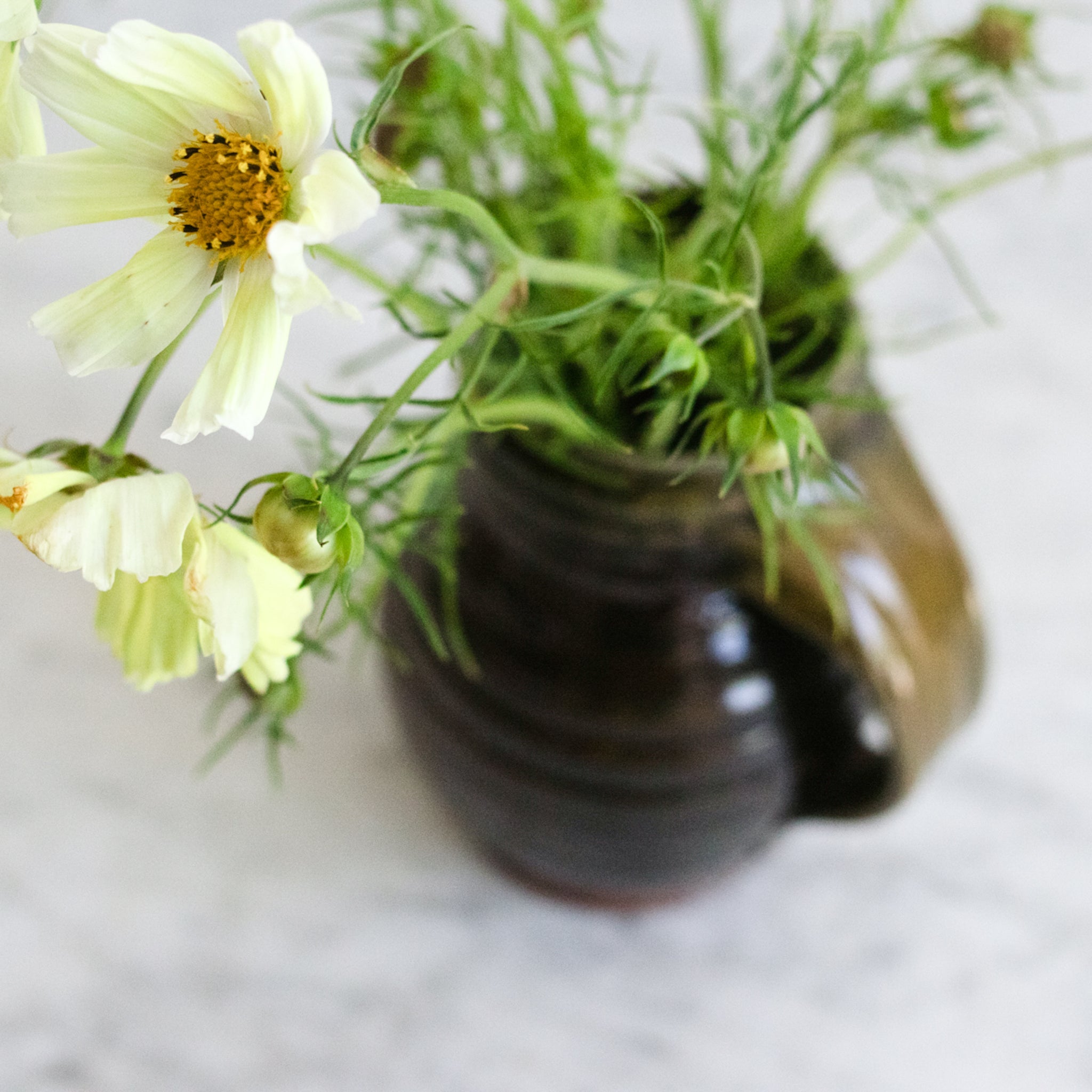 Stoneware Pitcher | Signed by Artist - elsie green - the french kitchen