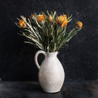 Stoneware Pitcher | Signed By Artist - elsie green - The French Kitchen