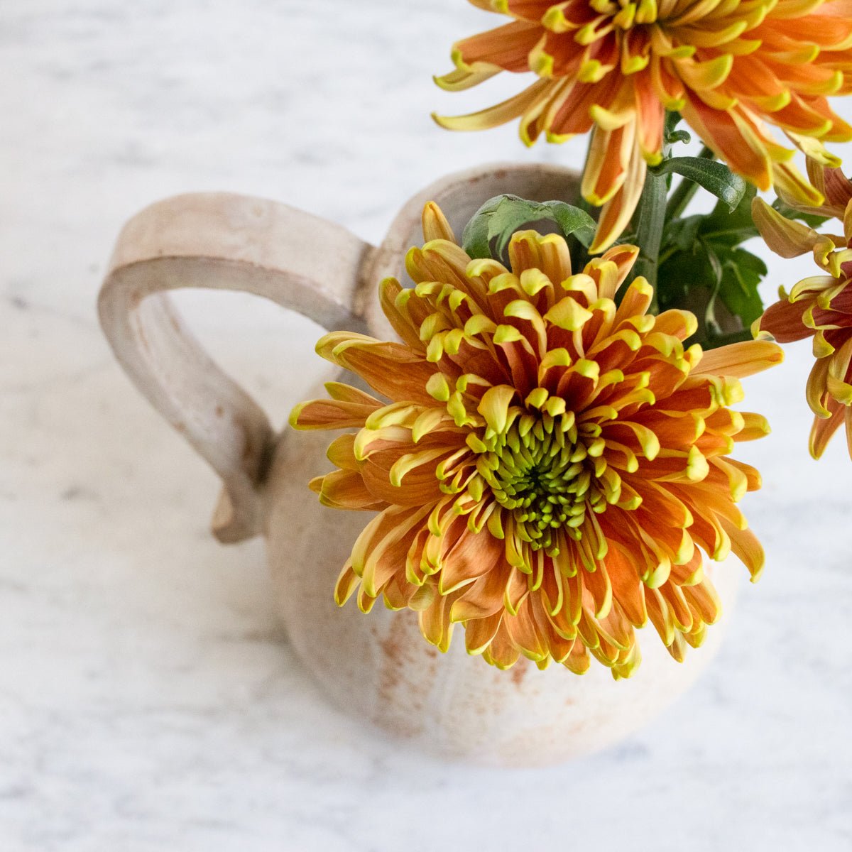 Stoneware Pitcher | Signed By Artist - elsie green - The French Kitchen