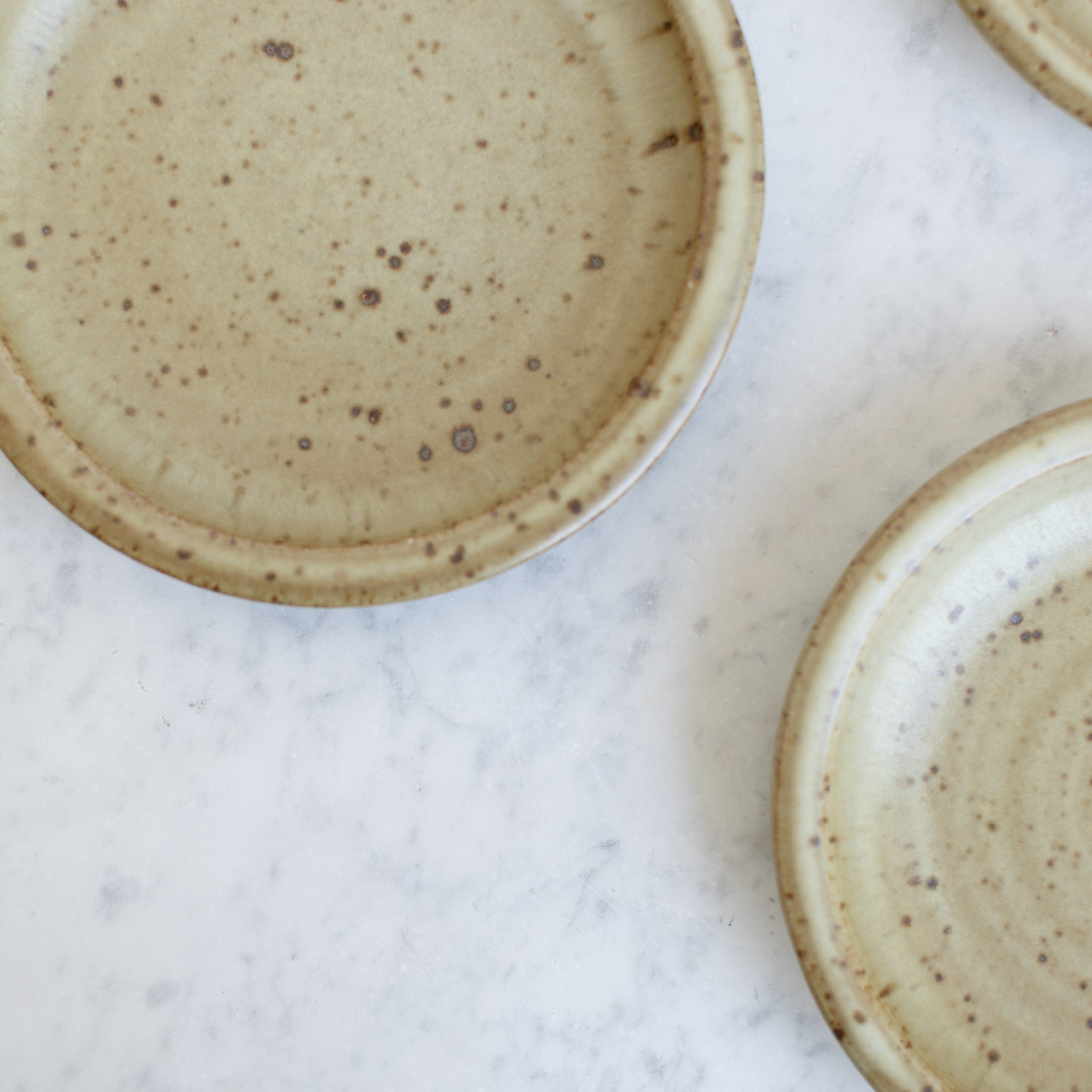 Stoneware Plate Set of 5 - elsie green - the french kitchen