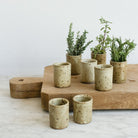 Stoneware Shot Glass Set of 6 - elsie green - the french kitchen