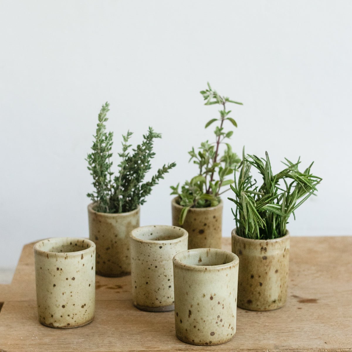 Stoneware Shot Glass Set of 6 - elsie green - the french kitchen