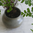 Stoneware Vase | Signed by Artist - elsie green - decor