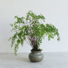 Stoneware Vase | Signed by Artist - elsie green - decor