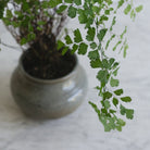 Stoneware Vase | Signed by Artist - elsie green - decor