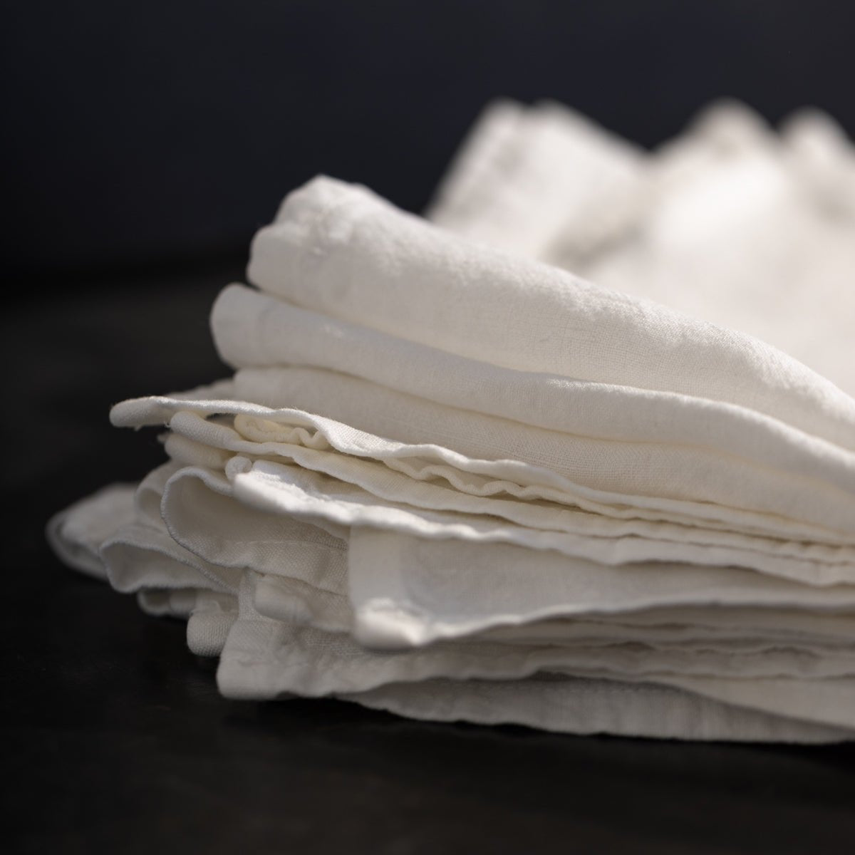 Stonewashed Cotton Napkin Set of 10 - elsie green - textiles