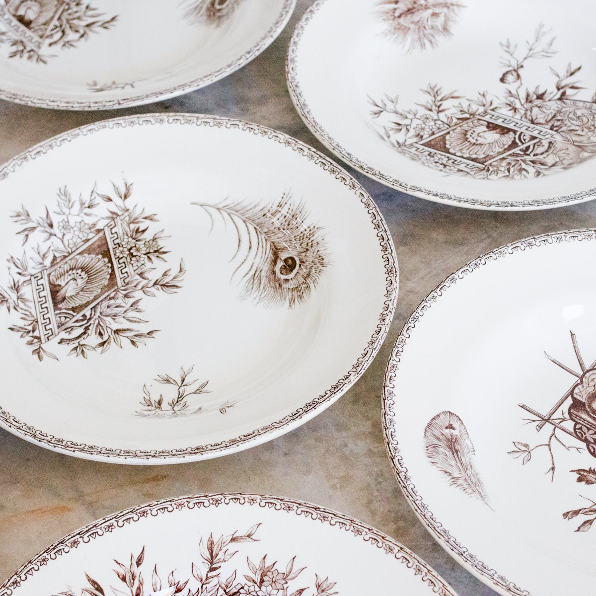 Succursale Transferware Bowls With Birds And Feathers Set Of 8 - elsie green - The French Kitchen