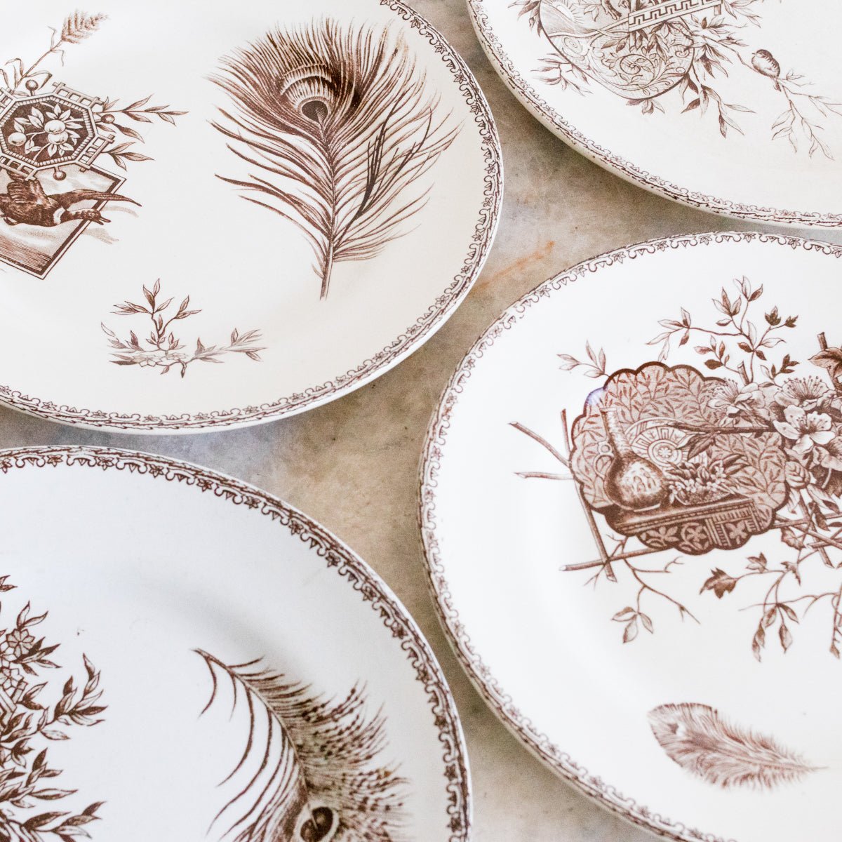 Succursale Transferware Plate With Birds And Feathers Set Of 4 - elsie green - The French Kitchen