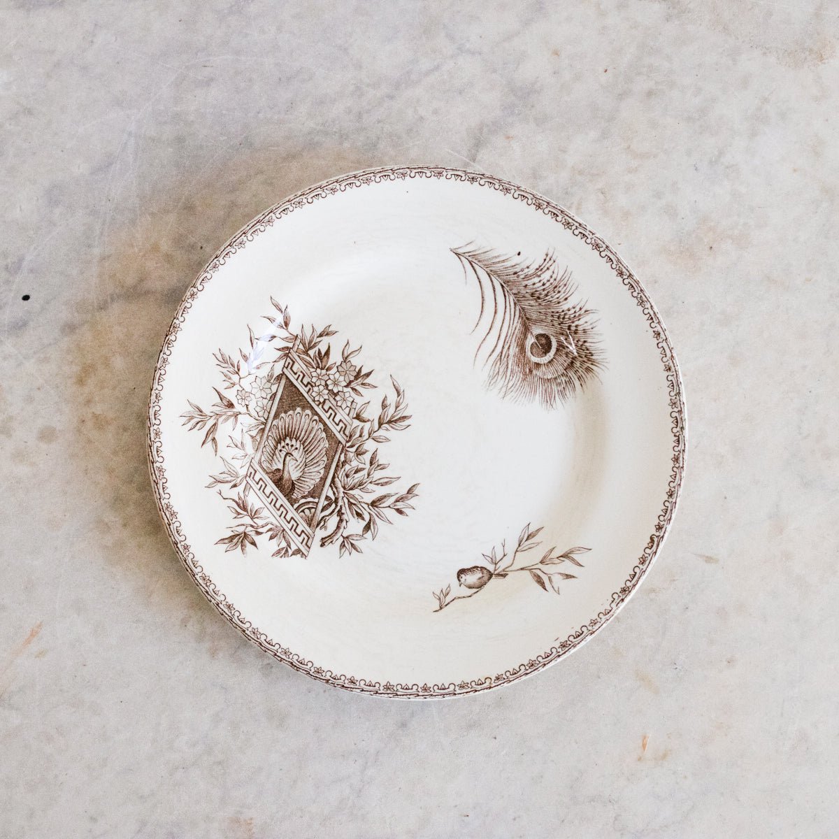 Succursale Transferware Plate With Birds And Feathers Set Of 4 - elsie green - The French Kitchen