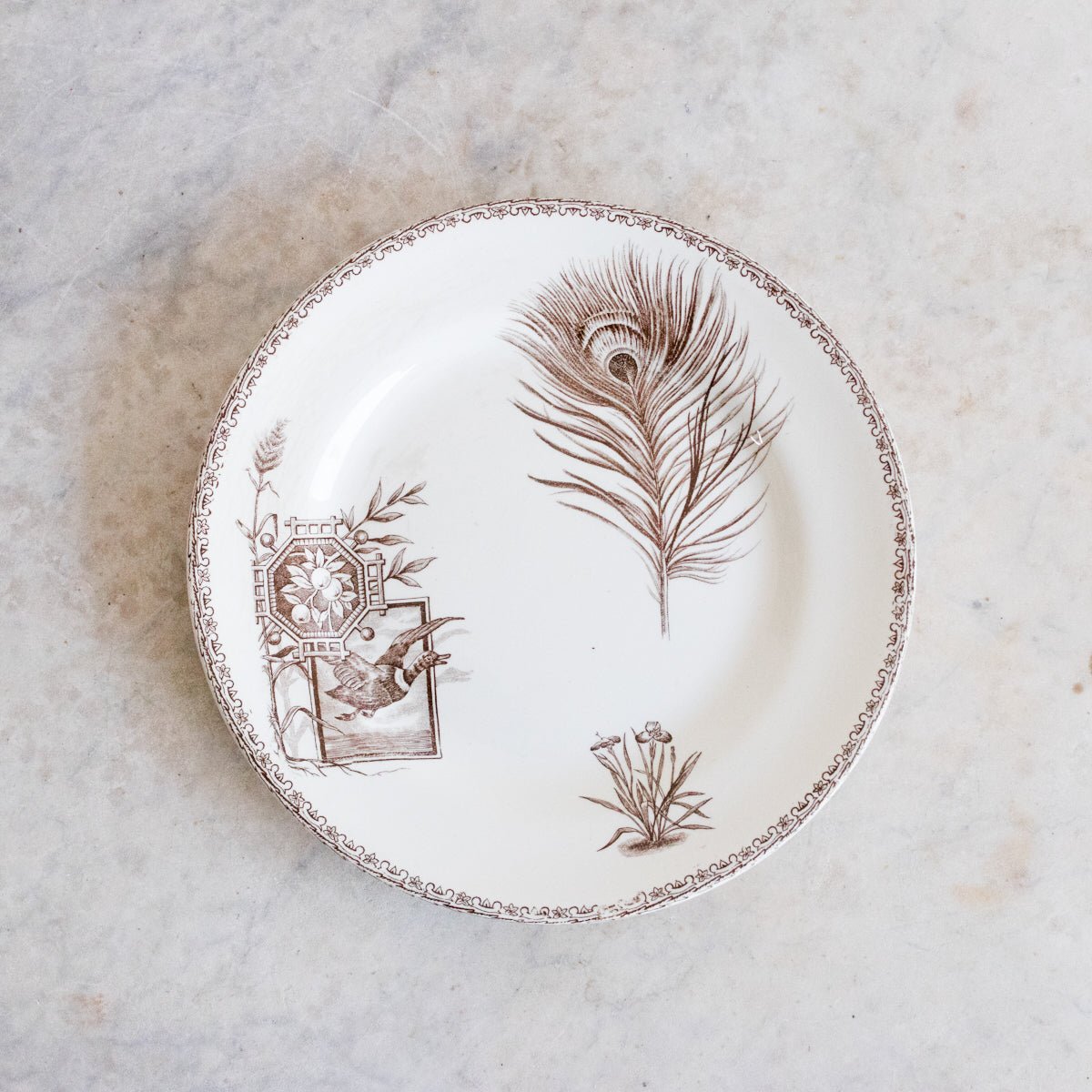Succursale Transferware Plate With Birds And Feathers Set Of 4 - elsie green - The French Kitchen
