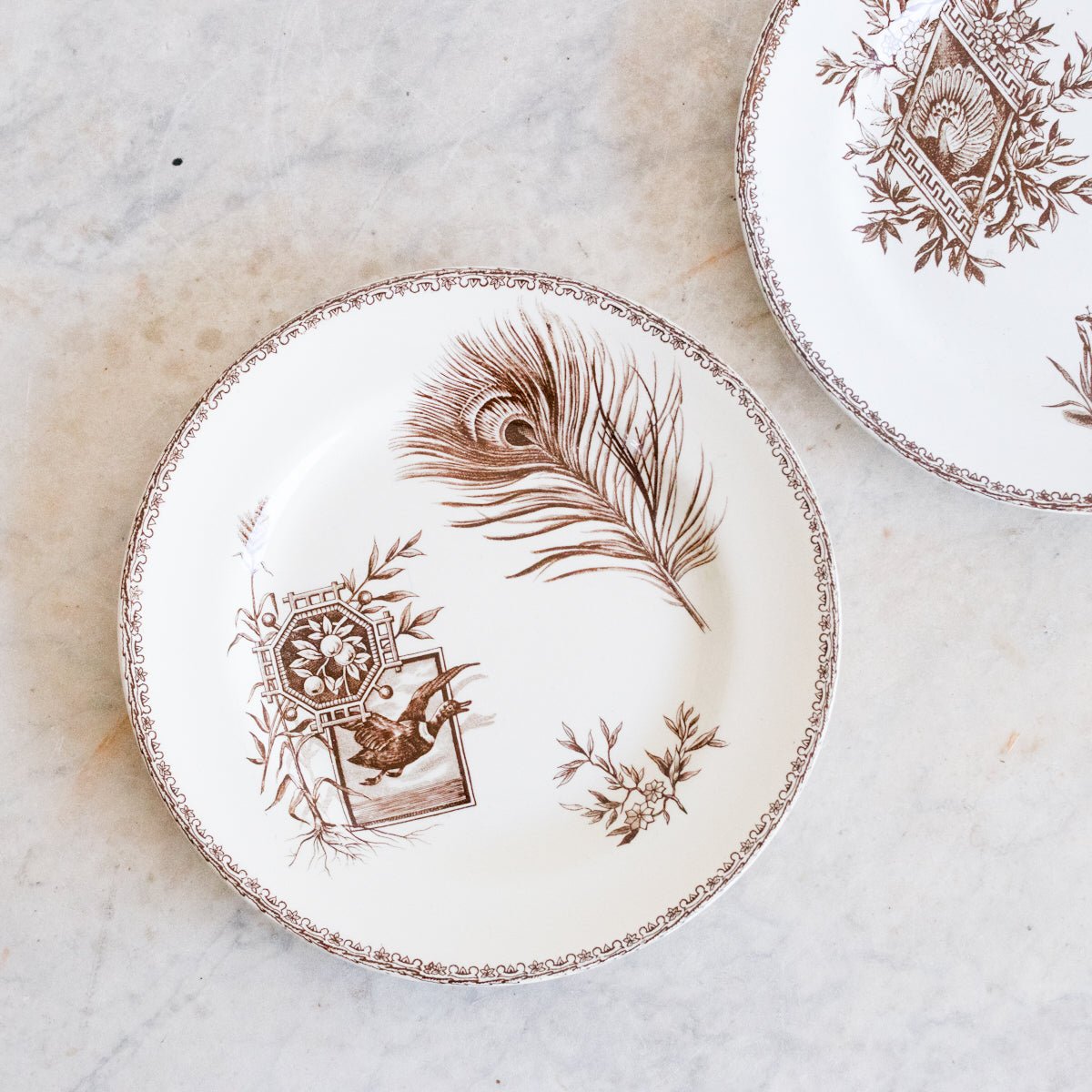Succursale Transferware Plate With Birds And Feathers Set Of 4 - elsie green - The French Kitchen
