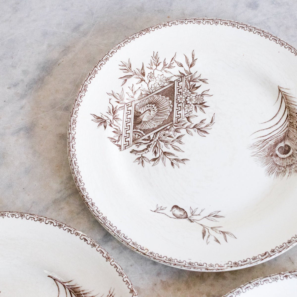 Succursale Transferware Plate With Birds And Feathers Set Of 4 - elsie green - The French Kitchen