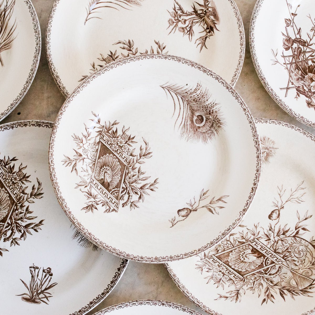 Succursale Transferware Plate With Birds And Feathers Set Of 4 - elsie green - The French Kitchen