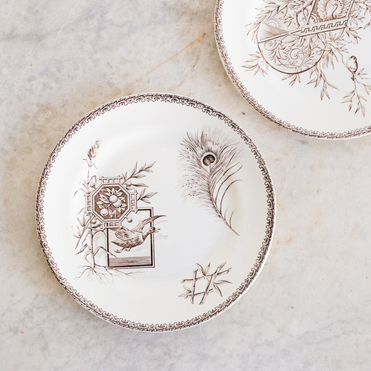 Succursale Transferware Plates With Birds & Feathers Set Of 8 - elsie green - The French Kitchen