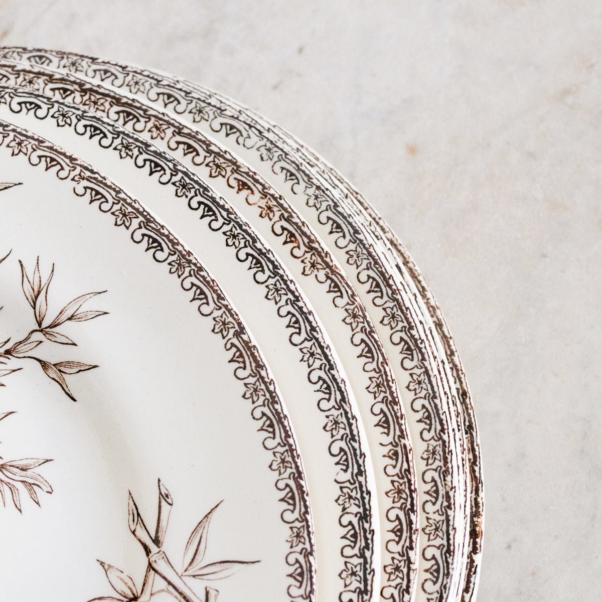 Succursale Transferware Plates With Birds & Feathers Set Of 8 - elsie green - The French Kitchen