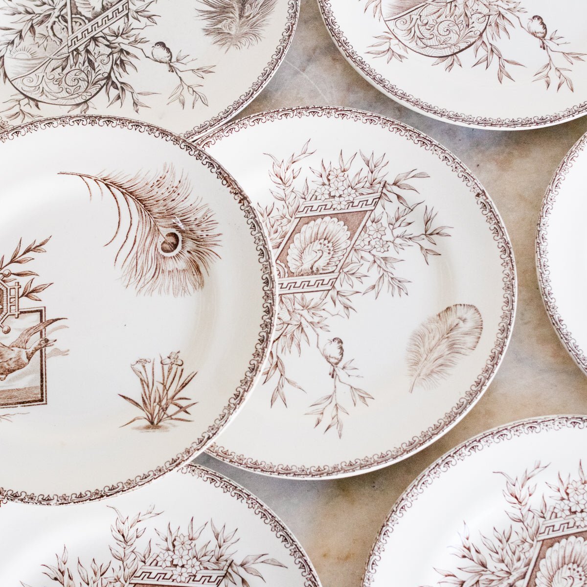 Succursale Transferware Plates With Birds & Feathers Set Of 8 - elsie green - The French Kitchen