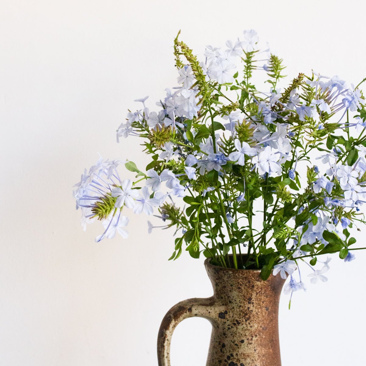 Tall Pitcher | Signed By Artist - elsie green - The French Kitchen