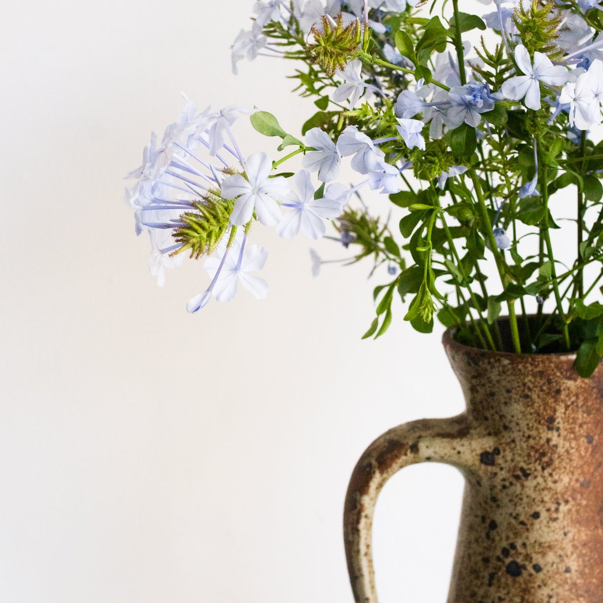 Tall Pitcher | Signed By Artist - elsie green - The French Kitchen