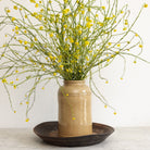 Tall Stoneware Mustard Crock - elsie green - the french kitchen