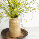 Tall Stoneware Mustard Crock - elsie green - the french kitchen