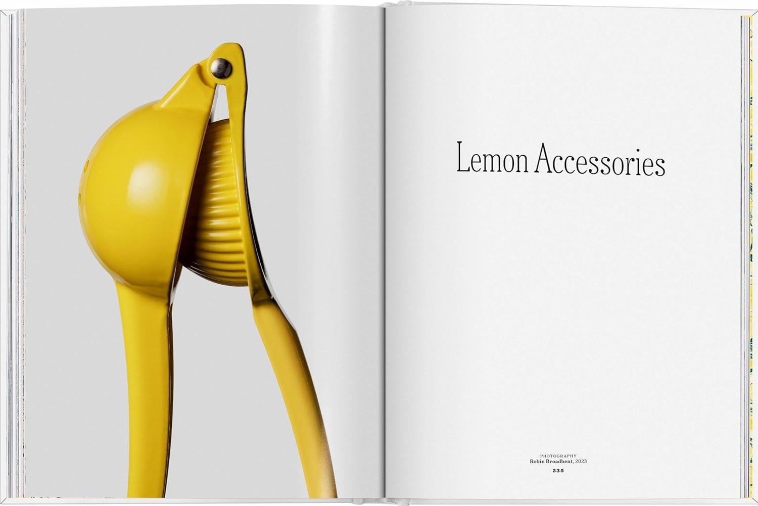 The Gourmand's Lemon: A Collection of Stories and Recipes - elsie green - decor