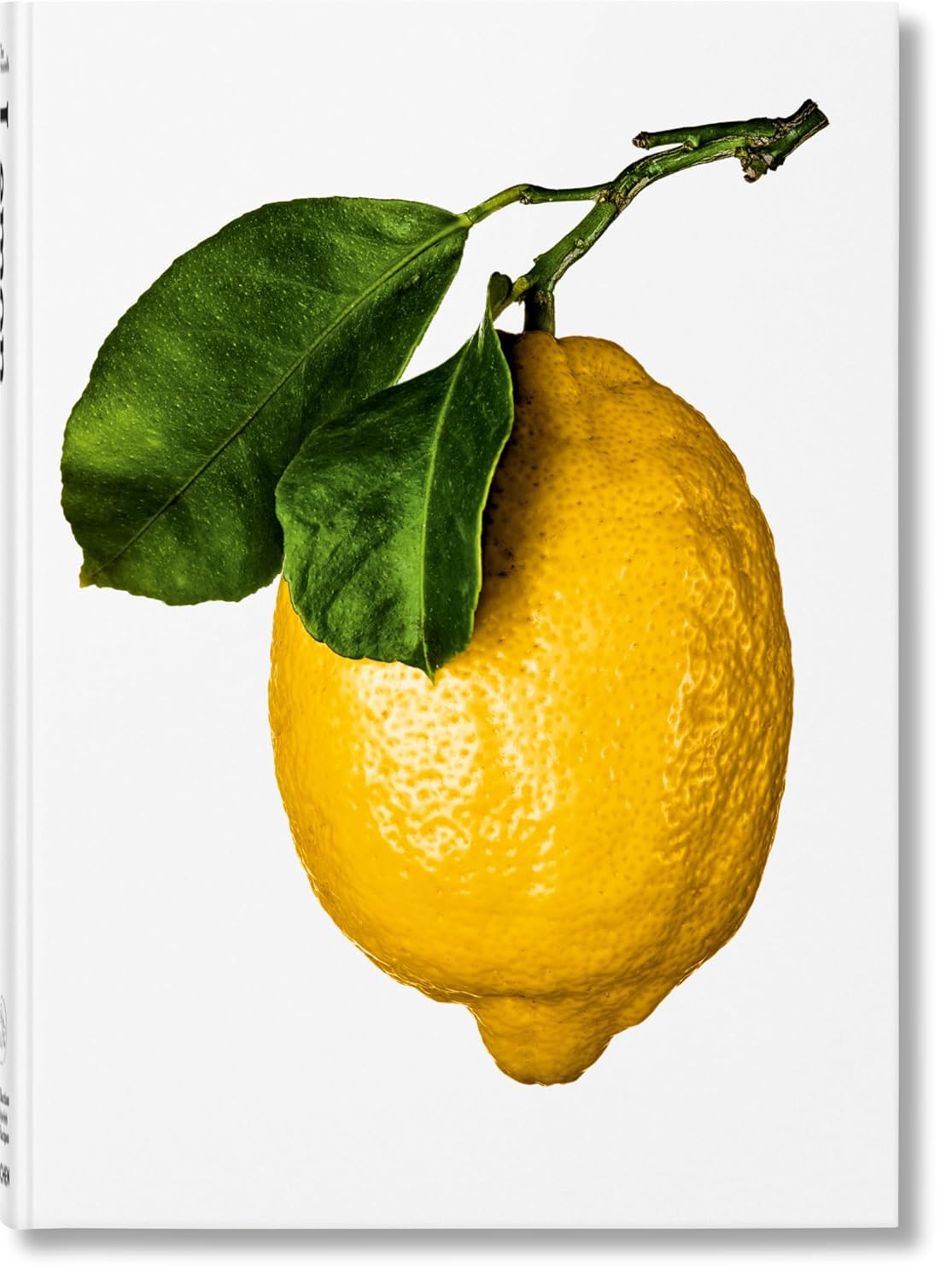 The Gourmand's Lemon: A Collection of Stories and Recipes - elsie green - decor