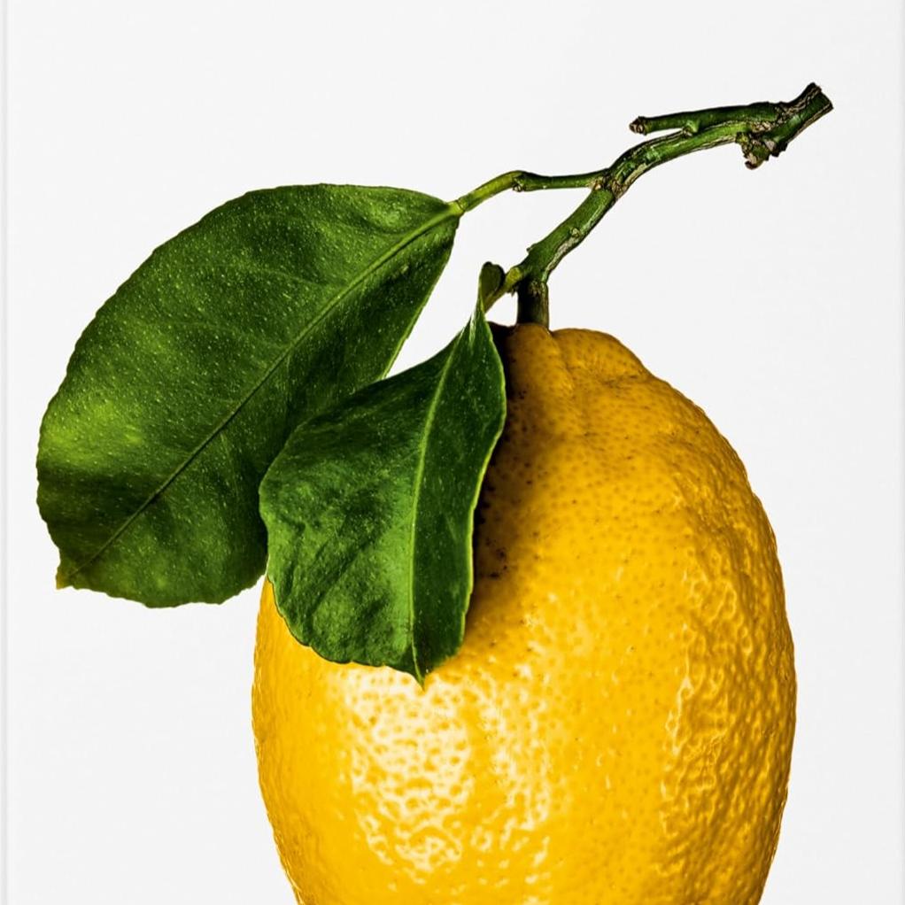 The Gourmand's Lemon: A Collection of Stories and Recipes - elsie green - decor