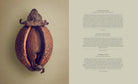The Hidden Beauty of Seeds & Fruits: The Botanical Photography of Levon Biss - elsie green - Decor