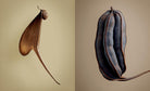 The Hidden Beauty of Seeds & Fruits: The Botanical Photography of Levon Biss - elsie green - Decor