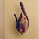 The Hidden Beauty of Seeds & Fruits: The Botanical Photography of Levon Biss - elsie green - Decor