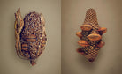 The Hidden Beauty of Seeds & Fruits: The Botanical Photography of Levon Biss - elsie green - Decor