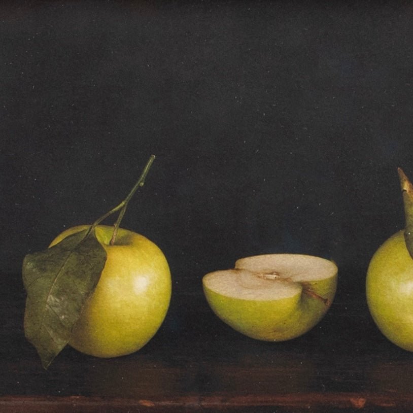 The Path | Jefferson Hayman - elsie green - art