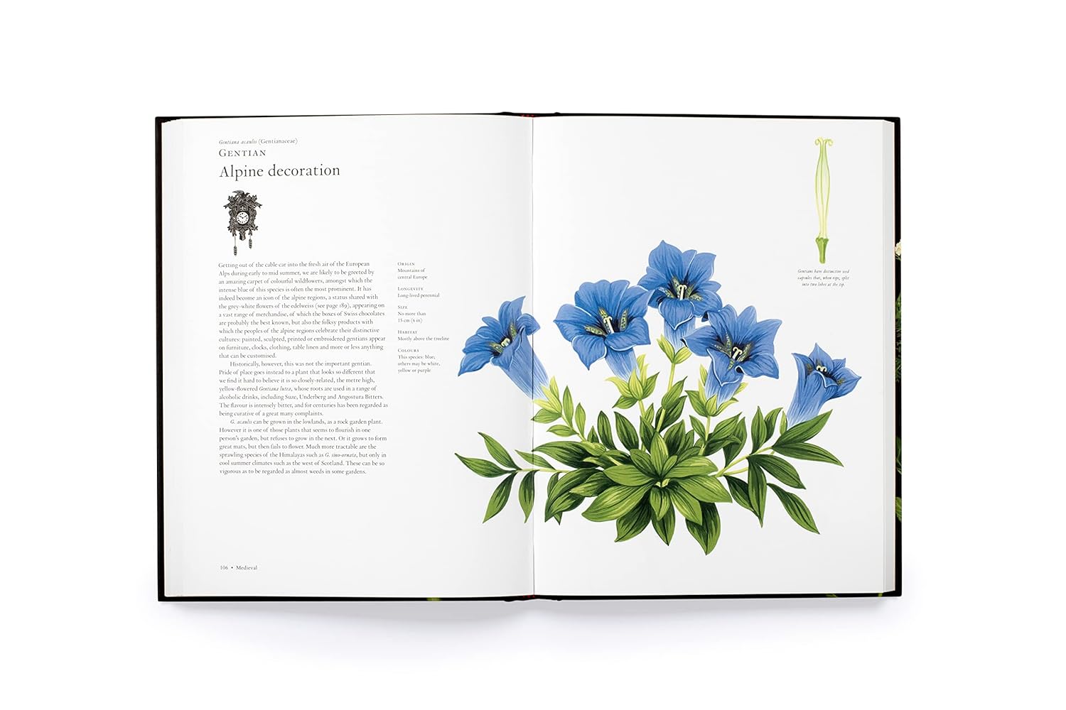 The Story of Flowers | And How They Changed the Way We Live - elsie green - decor