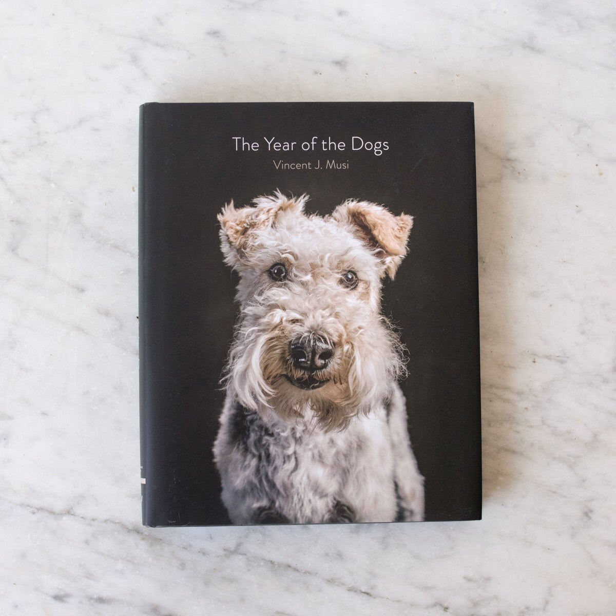 The Year of the Dogs - elsie green - Decor