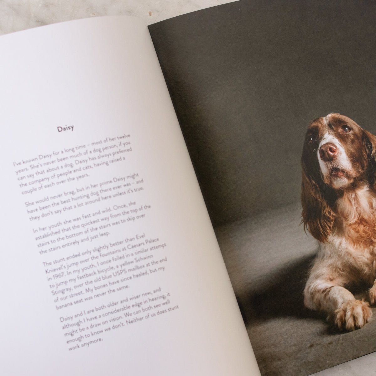 The Year of the Dogs - elsie green - Decor