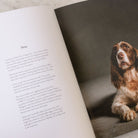 The Year of the Dogs - elsie green - Decor