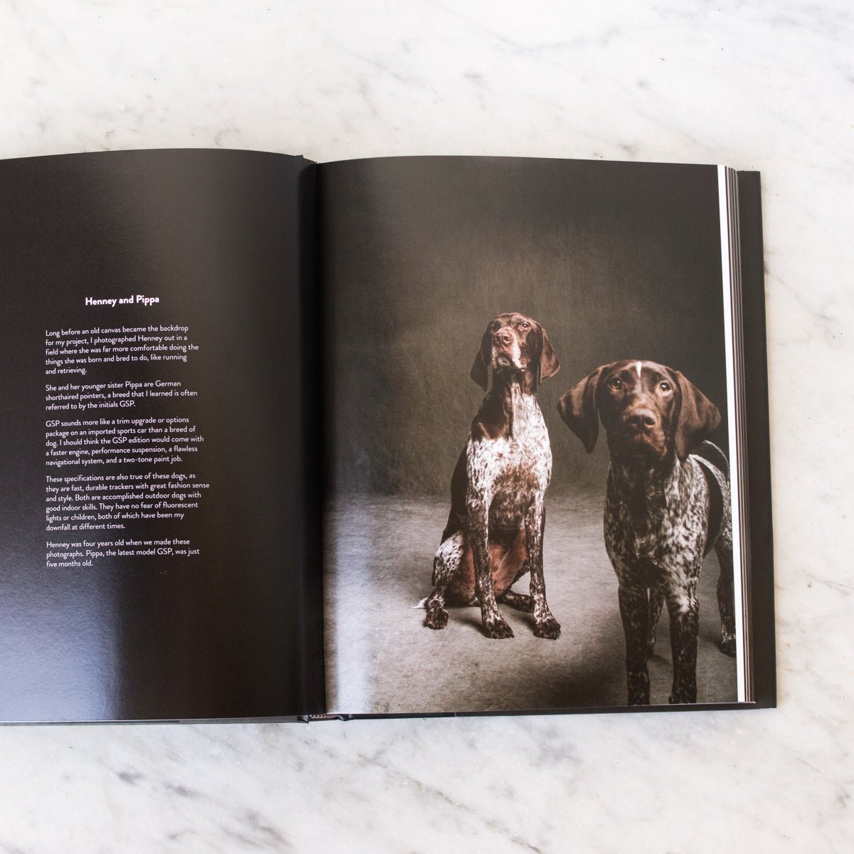 The Year of the Dogs - elsie green - Decor
