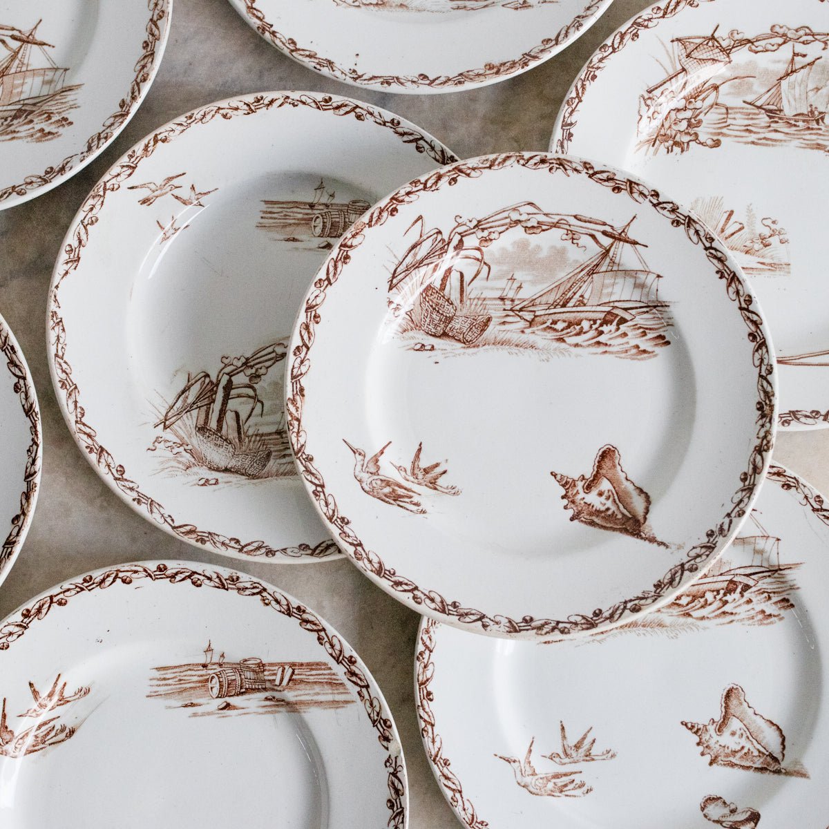 Transferware Plate With Birds, Boats & Shells Set Of 8 - elsie green - The French Kitchen