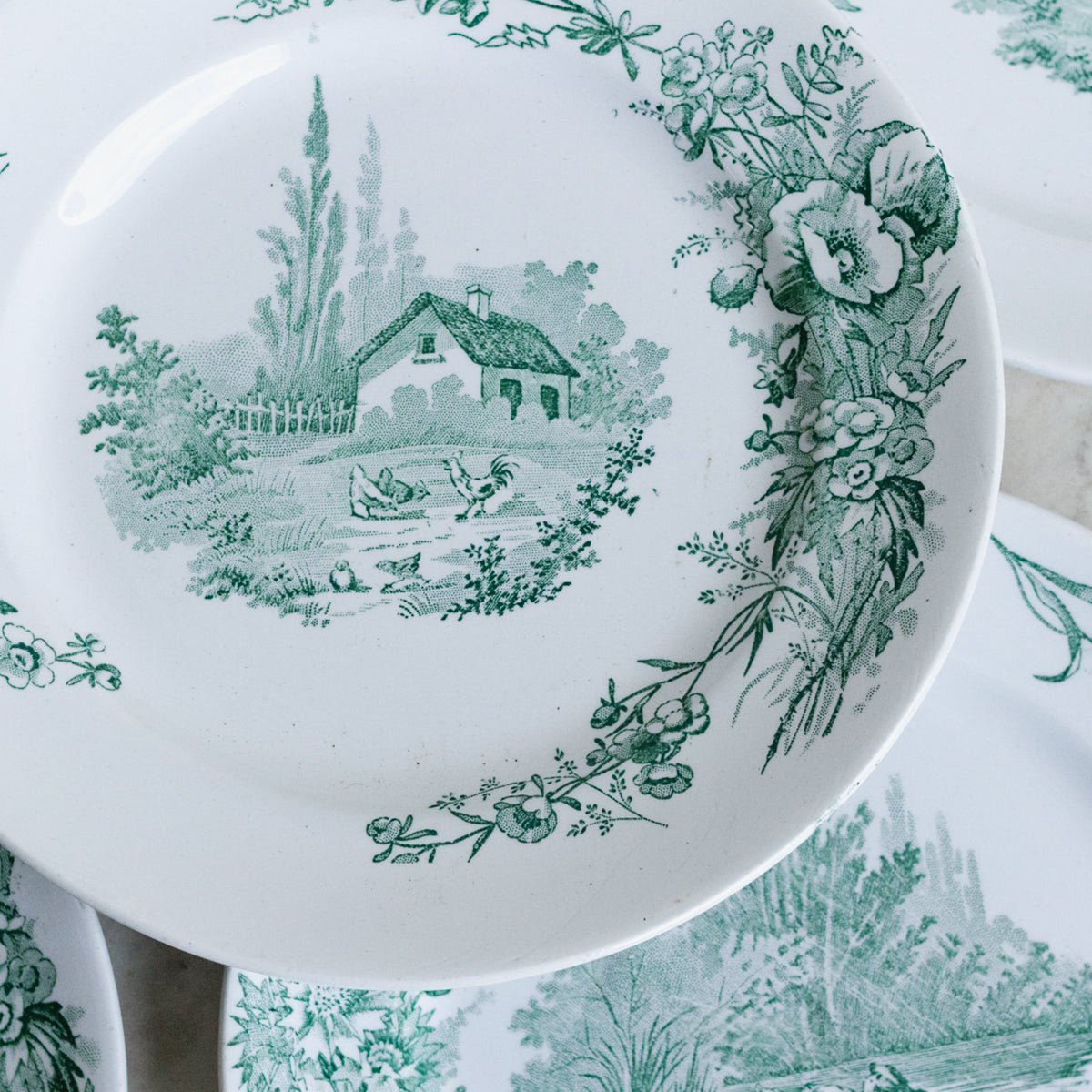 Transferware Plate With Ducks Set Of 12 - elsie green - The French Kitchen