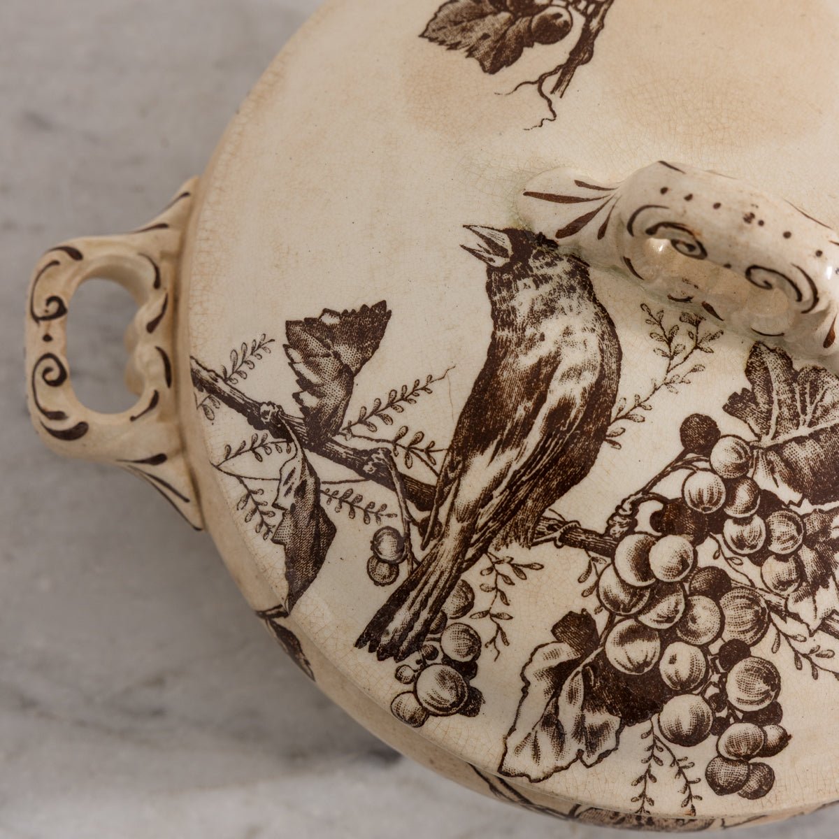 Transferware Tureen with Bird and Vines - elsie green - the french kitchen