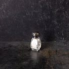Trio of Crystal and Sterling Shakers - elsie green - the french kitchen