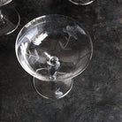 Trio Of Etched Champagne Coupes - elsie green - The French Kitchen