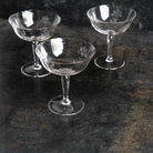 Trio Of Etched Champagne Coupes - elsie green - The French Kitchen