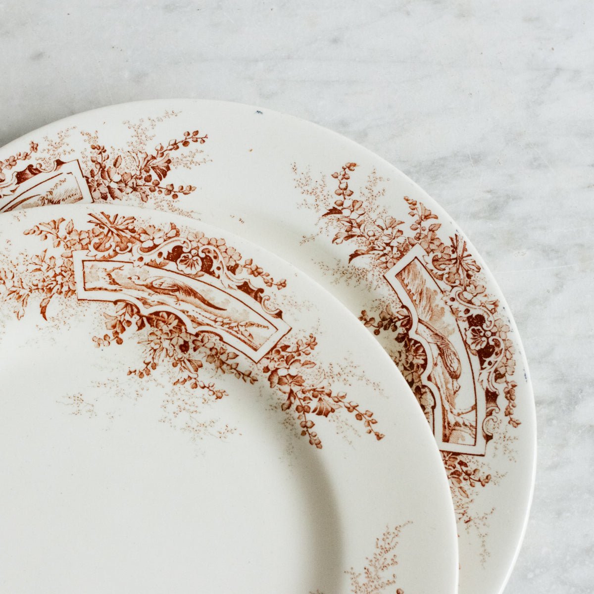 Trio Of Faisans Transferware Plates - elsie green - The French Kitchen