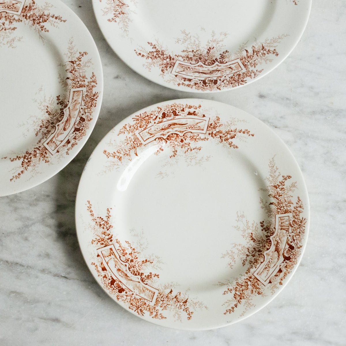 Trio Of Faisans Transferware Plates - elsie green - The French Kitchen